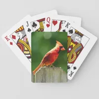 Northern Cardinal on Fence in Summer Poker Cards