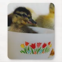 Duck in a Teacup 2 Mouse Pad