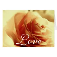 Love Rose