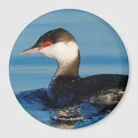 Profile of a Horned Grebe Magnet