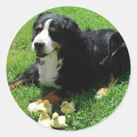 Serena and the Ducklings Classic Round Sticker