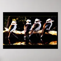 Kookaburra Choir Poster