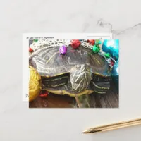 A Beautiful Christmas Turtle Postcard