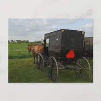 Amish Horse and Buggy at Sunset Postcard