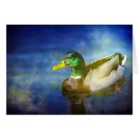 Mallard