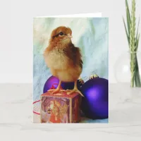 Christmas Chick Holiday Card