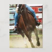 Barrel Race Horse Postcard