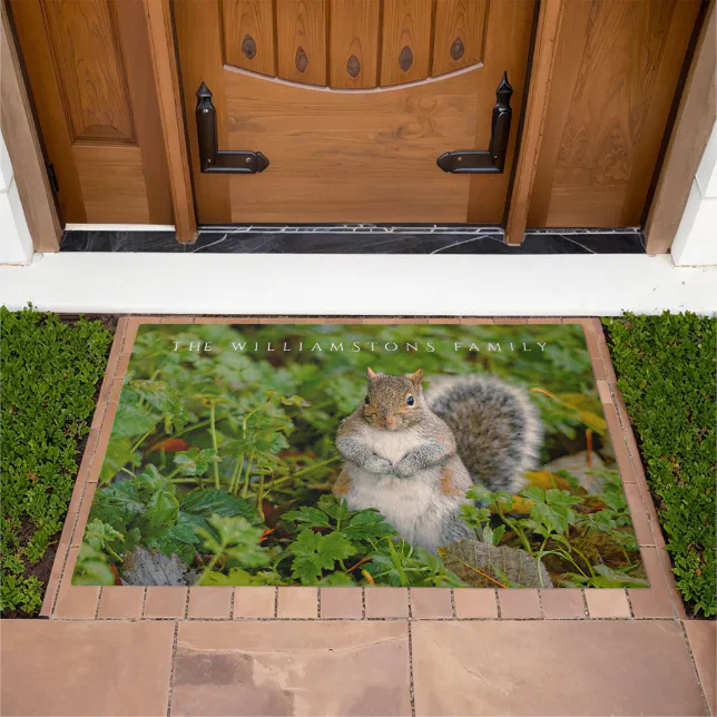 Saucy Cute Squirrel Could You Spare a Peanut? Doormat