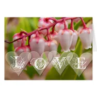 Love Bell Hearts Card