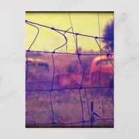 Cars and Trucks Rusting Away Postcard