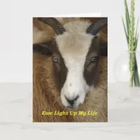 Ewe Light Up My Life Birthday Card