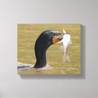 Profile of an Adult Double-Crested Cormorant Canvas Print