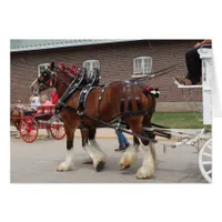 Draft Horses at a State Fair