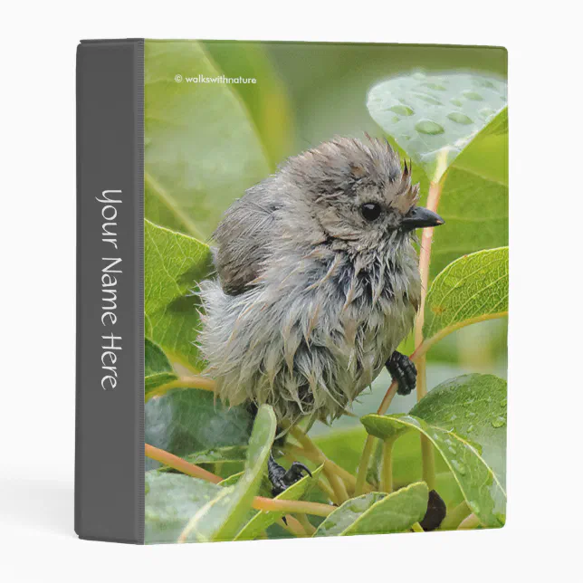 Cute Wet Wee Bushtit on the Laurel Mini Binder