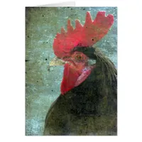 Lakenvelder Rooster With Texture