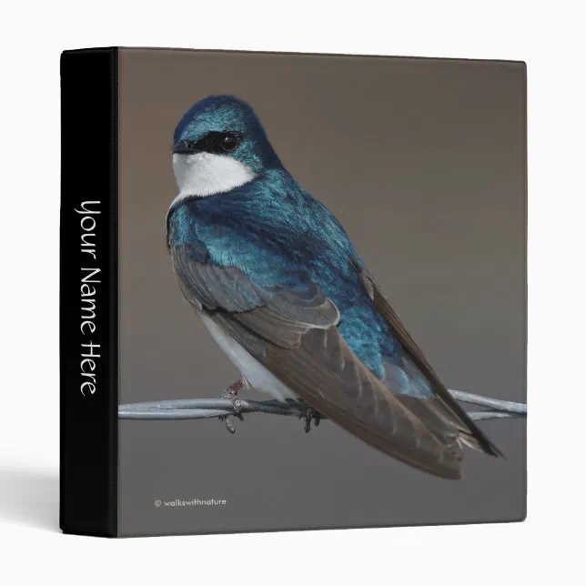 Handsome Tree Swallow: Bird on a Wire Binder