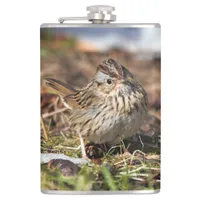 Cute and Spunky Lincoln's Sparrow Flask