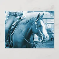 Western Horse in Shades of Blue Postcard