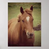 Scotch Poster