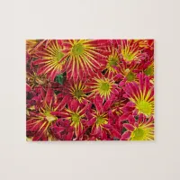 Red and Yellow Chrysanthemums Photo Jigsaw Puzzle