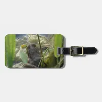 Frog Luggage Tag