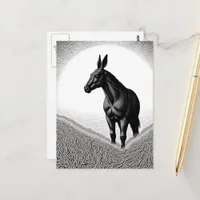 Mule Black and White Postcard