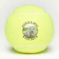 Best Dog Dad Personalized Photo Tennis Balls