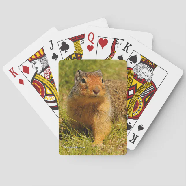 Cute Columbian Ground Squirrel in the Grass Poker Cards