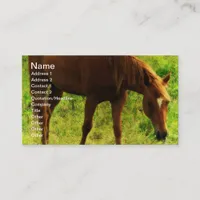 Spring Dreams, Sorrel Eating Grass Business Card