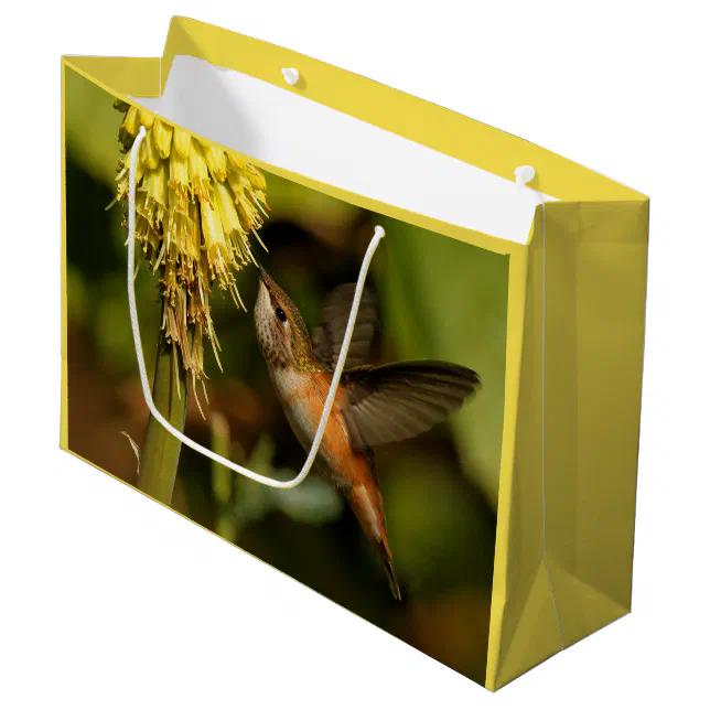 Rufous Hummingbird Sipping Kniphofia Nectar Large Gift Bag