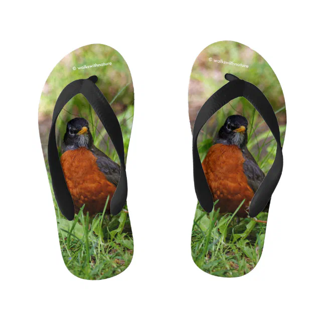 Curious American Robin Songbird in the Grass Kid's Flip Flops