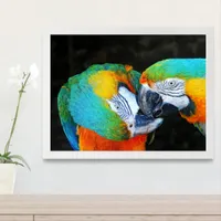 Parrots - Best friends Framed Art