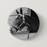 Horse Button
