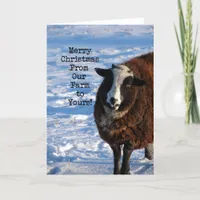 Christmas Sheep From Our Farm to Yours Holiday Card