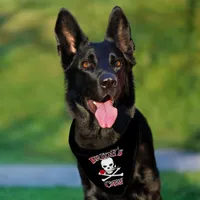 Bride's Crew  Pet Bandana Collar