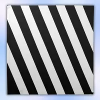 Simple Black and White Stripes | Cloth Napkin