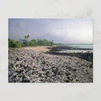 Punaluʻu Black Sand Beach Hawaii Big Island Postcard