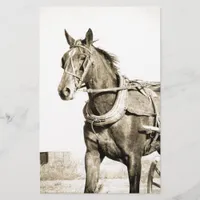 Sepia Amish Horse And Buggy