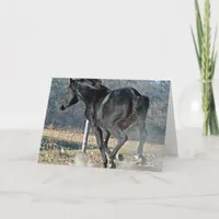 Cloud of Dust Card