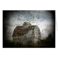 Barn and Birds