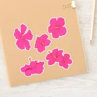 Tropical Pink Caribbean Hibiscus Flowers Pack Sticker