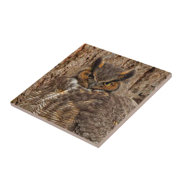 Great Horned Owl in the Douglas Fir Ceramic Tile