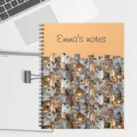 Cats meeting point - cute notebook