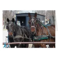 Horse Parking Lot