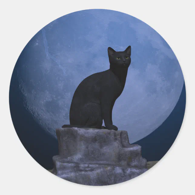 Moonlit Cat Classic Round Sticker