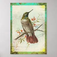 Vintage Hummingbird Poster