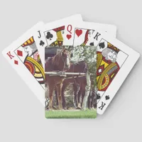 Amish Horses at the Hitching Post Around Apples Poker Cards