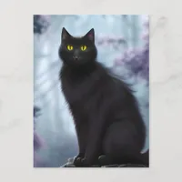 Black Cat Postcard