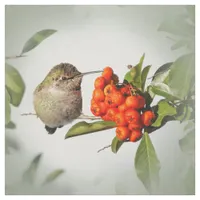 Adorable Anna's Hummingbird on the Berry Bush Fabric