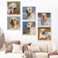 Custom Photo Modern Simple Trendy 6 Wall Collage Peel And Stick Photo Tile